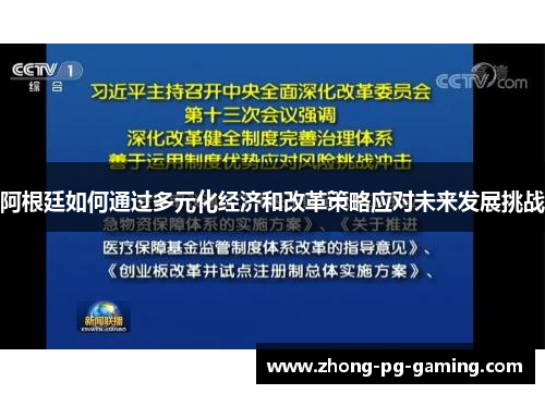 阿根廷如何通过多元化经济和改革策略应对未来发展挑战