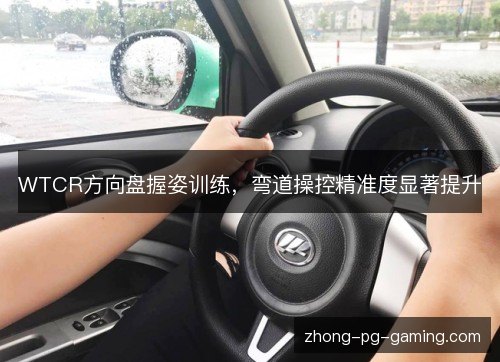 WTCR方向盘握姿训练，弯道操控精准度显著提升